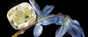 What are yellow diamonds: how rare and expensive they are